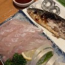 오징어 세상 이미지