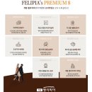 계룡종합운동장 이미지