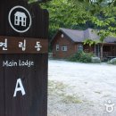 국립용화산자연휴양림 이미지