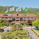 과천시 과천동마을회관 이미지