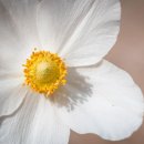통인익스프레스광주점