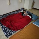 경희인성한의원 이미지