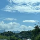 주식회사 멍시태그 | [가평 당일치기 글램핑] 플로팅웨일 가평 멍글램핑에서 즐긴 완벽한 캠프닉! (서울근교풀빌라/애견글램핑)
