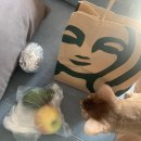 호일통신