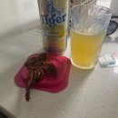 찾다보니여기 이미지