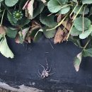 홍민농장 이미지