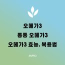 멍이날개 | 폼롤러, eva 폼롤러, 하드 폼롤러, 돌기 폼롤러 (+폼롤러 종아리 풀기)