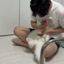 토리후니 | 24년 5월