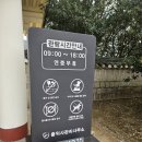 의령 충익사 모과나무 | 의령 가족나들이 충익사 &amp; 의병박물관 &amp; 어린이박물관