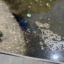 여치공원 이미지