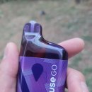 Vuse Go 전자담배 정보 정리 (포도향 사용 후기 포함)