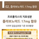그린메이드 이미지