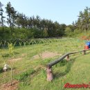 원북농장 이미지