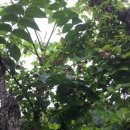 배순농장 이미지