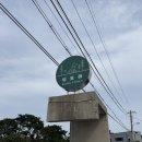 포레멍 | 담양 신상 애견카페 멍포레 후기