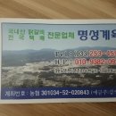 명성계육 이미지