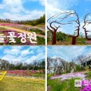 초안산 하늘꽃정원 이미지