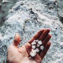 꿀꿀이야기 이미지