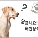 소망유통 이미지