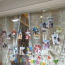 펫트리멍 이미지