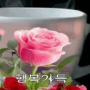 오늘의 행복