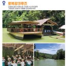 안경매너져 평화점 | 보홀 육상투어 추천! 초콜릿힐, 안경원숭이, 로복강까지 가성비 코스! 후