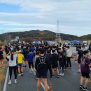 22.11.13(일) 달구벌마라톤대회 10KM 이미지