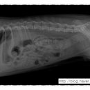 유앤동물의료원 이미지