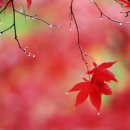 농협독산지점 이미지