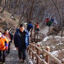 보산초등학교 이미지