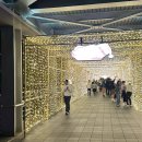 마음고기 소룡점 | 타이베이 신반> 트윈룸 후기 | 대만 현지인 맛집 <항주소룡탕포> 내돈내산 후기 | 신베이 크리스마스마켓