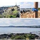 올레관광호텔 | [제주쌍둥이네] 올레 3코스 완벽 가이드, 숲 or 바다 : Jeju Olle Trail 3 Guide