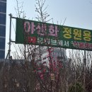 마담 플라워 | 장수매), 용인 에르베플라워아울렛(라일락, 제라늄...바시 투명 화분받침대) 내돈내산 방문 구매 후기