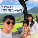 해게울 목장2 | 홍천 비발디파크 곤돌라 양떼목장 가격, 스노위랜드 가는 법, 아이랑 강원도 케이블카 갈만한 곳 추천