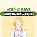 내곡동303 | 서울특별시 서초구 내곡동 교정치과 총정리