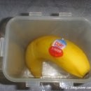 센바이오 이미지