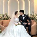 위치/비용/밥! 갓벽했던 &#39;루이비스 중구&#39; 총평 결혼 후기 (+홀투어 예식장 비교)