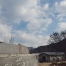 마리누스 | 가평)플로레 브런치 카페, 마리누스 풀빌라 방문기