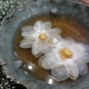 우리문화디자인연구소