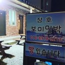장호보미민박 이미지