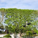 서리풀타워 이미지