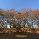 해브히어커피로스터스