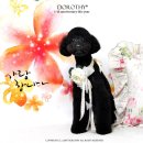 강이네펫샵 이미지