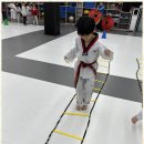경희대박사 문무태권도장 | 혁신도시태권도 아이의 발전을 응원하는 혁신도시의 특별한 태권도장 후기
