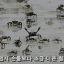 칠게와 칠칠 맞는 술붕어 이미지