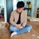 세이브독 이미지