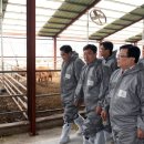 금성 태양광발전소 이미지