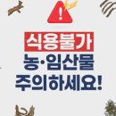 주식회사 삼양전자통신 이미지