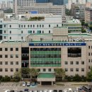 분당초등학교 이미지
