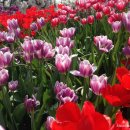 경인동물농장 이미지